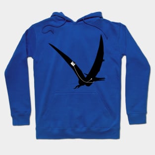 Music loving Pterodactyl Hoodie